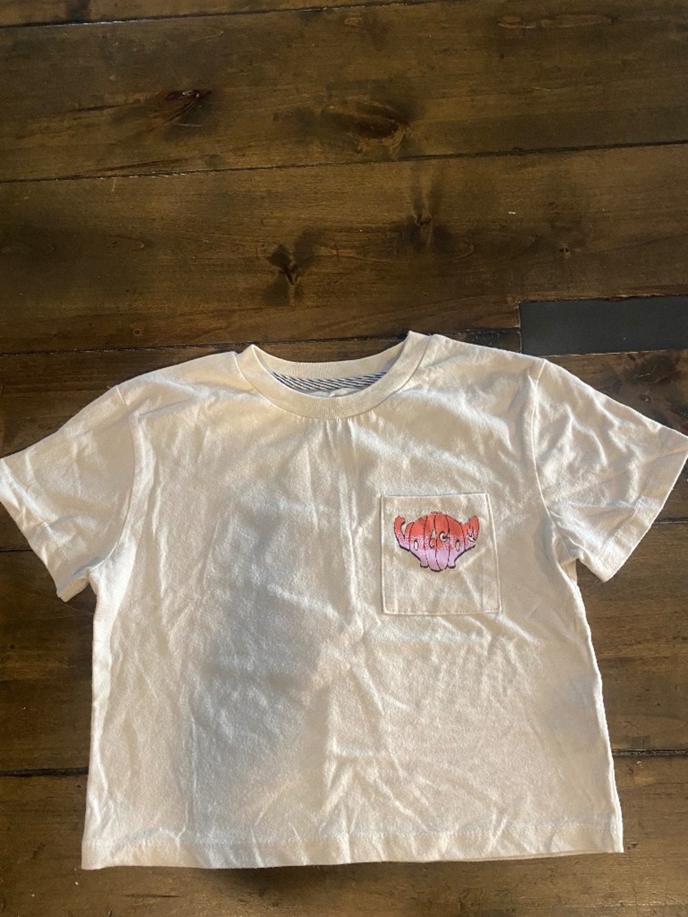 Volcom Kids Shirt
